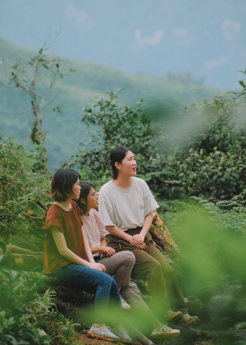 Three women sitting together among tea trees in Ha Giang
