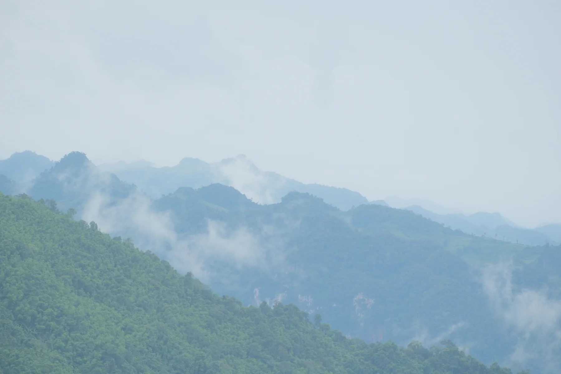 Mist drifting through the tea mountains of Ha Giang, Vietnam